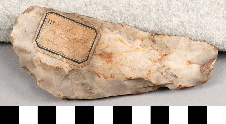 Thumbnail of Stone Tool: Axe Blank (1924.02.0559)