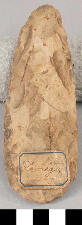 Thumbnail of Stone Tool: Axe Blank (1924.02.0560)