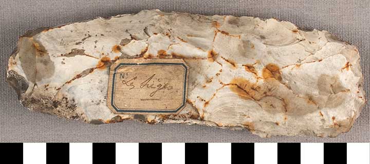 Thumbnail of Stone Tool: Axe Blank (1924.02.0561)