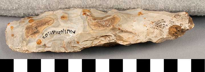 Thumbnail of Stone Tool: Axe Blank (1924.02.0572)