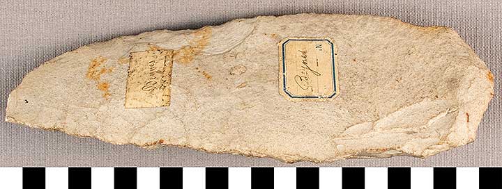 Thumbnail of Stone Tool: Axe Blank (1924.02.0574)