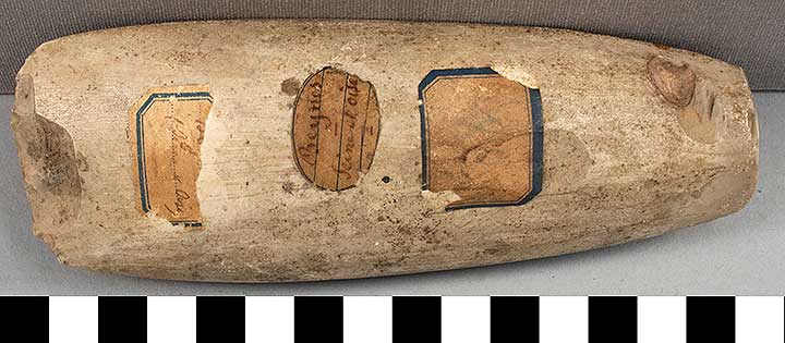 Thumbnail of Stone Tool: Axe (1924.02.0575)