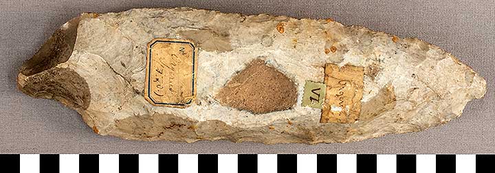 Thumbnail of Stone Tool: Axe Blank (1924.02.0586)