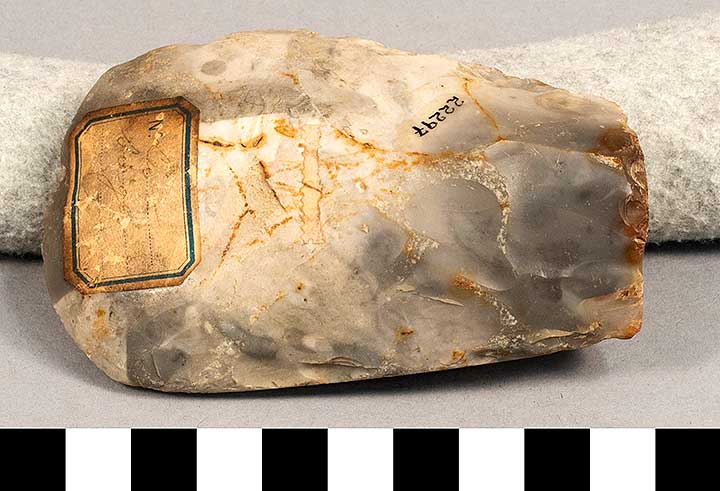 Thumbnail of Stone Tool: Axe Blank (1924.02.0603)