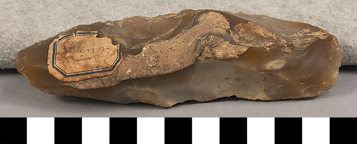 Thumbnail of Stone Tool: Axe Blank (1924.02.0622)