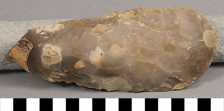Thumbnail of Stone Tool: Axe Blank (1924.02.0636)