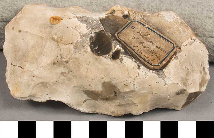 Thumbnail of Stone Tool: Axe Blank (1924.02.0641)