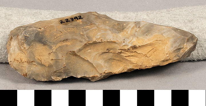 Thumbnail of Stone Tool: Axe Blank (1924.02.0676)