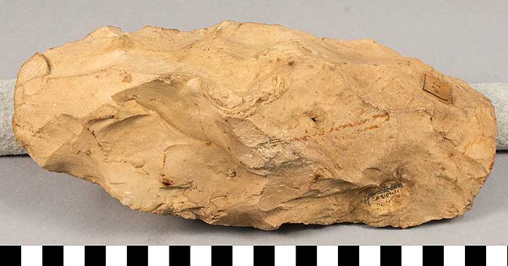 Thumbnail of Stone Tool: Lexallois Blade Core (1924.02.0705)
