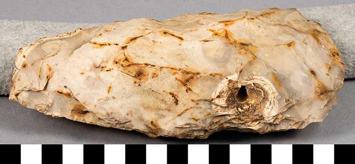 Thumbnail of Stone Tool: Axe Blank (1924.02.0719)