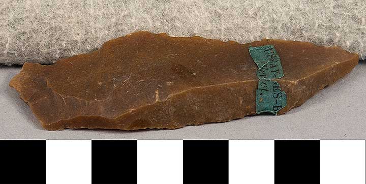 Thumbnail of Stone Tool: Denticulate Scraper (1924.02.0738)