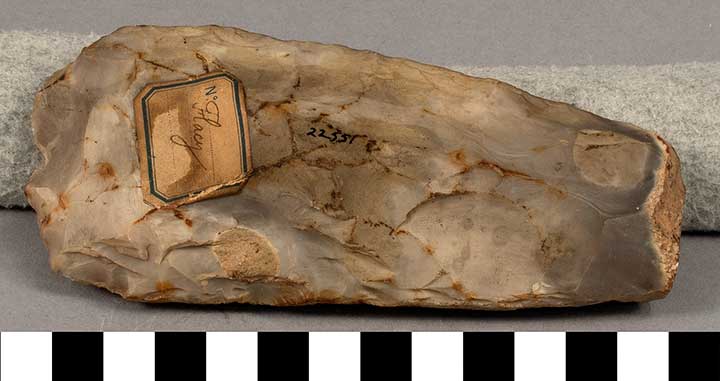 Thumbnail of Stone Tool: Axe Blank (1924.02.0772)