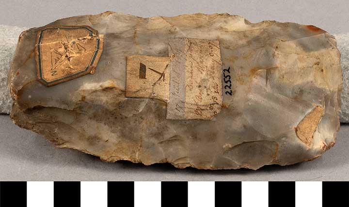 Thumbnail of Stone Tool: Axe Blank (1924.02.0773)