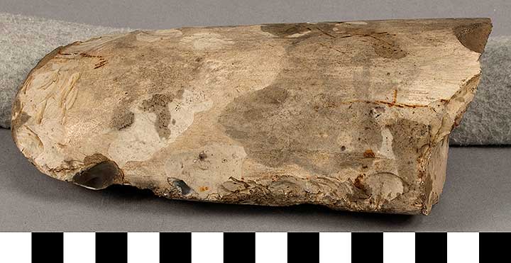 Thumbnail of Stone Tool: Axe Blank (1924.02.0774)