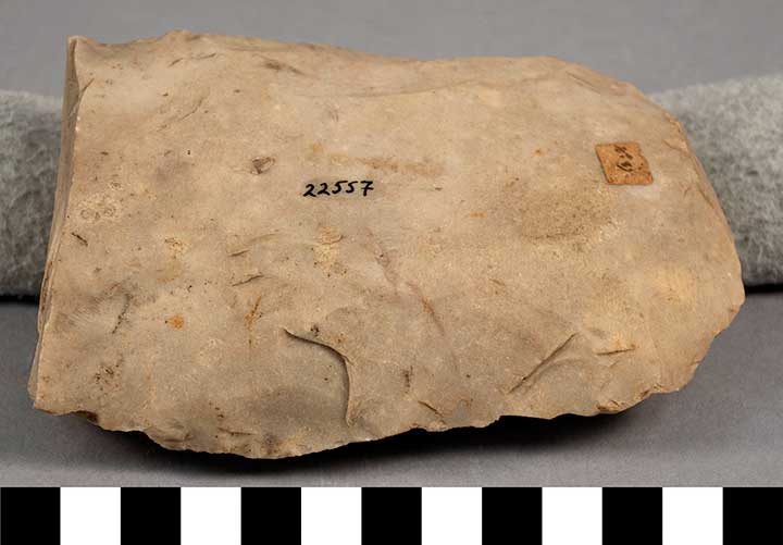 Thumbnail of Stone Tool: Axe Blank (1924.02.0775)