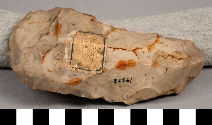 Thumbnail of Stone Tool: Axe Blank (1924.02.0778)