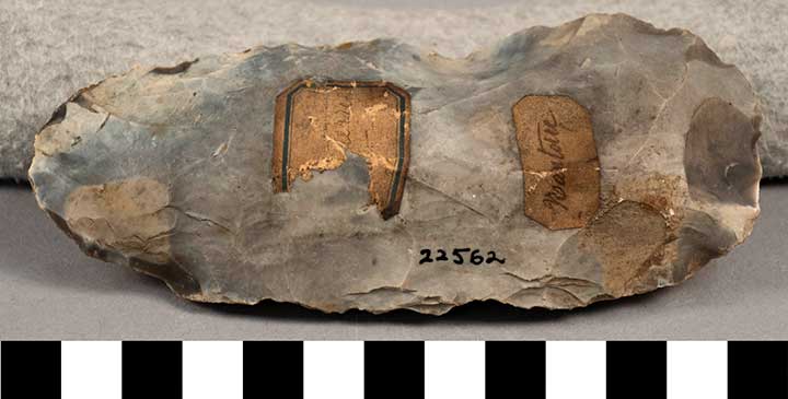 Thumbnail of Stone Tool: Axe Blank (1924.02.0779)