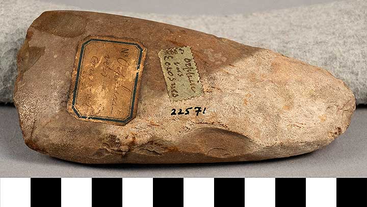 Thumbnail of Stone Tool: Axe Blank (1924.02.0784)
