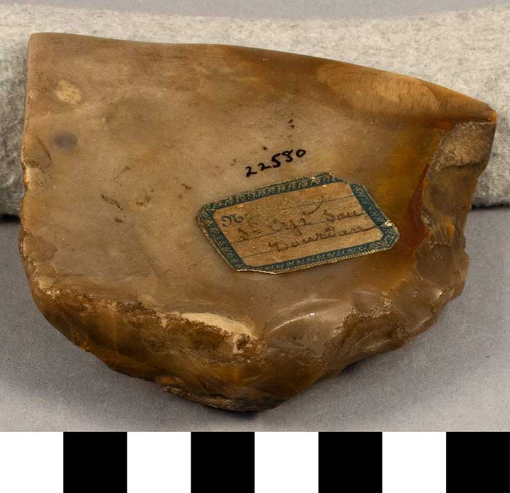 Thumbnail of Stone Tool: Neolithic Flake (1924.02.0789)