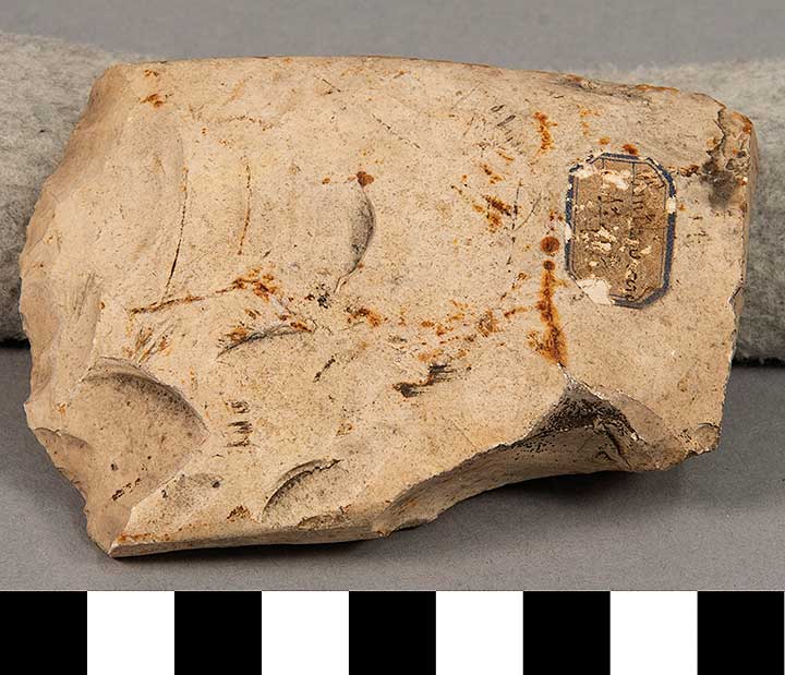Thumbnail of Stone Tool: Axe Fragment (1924.02.0820)