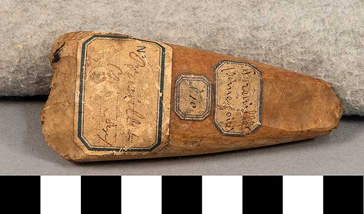 Thumbnail of Stone Tool: Axe Fragment (1924.02.0829)