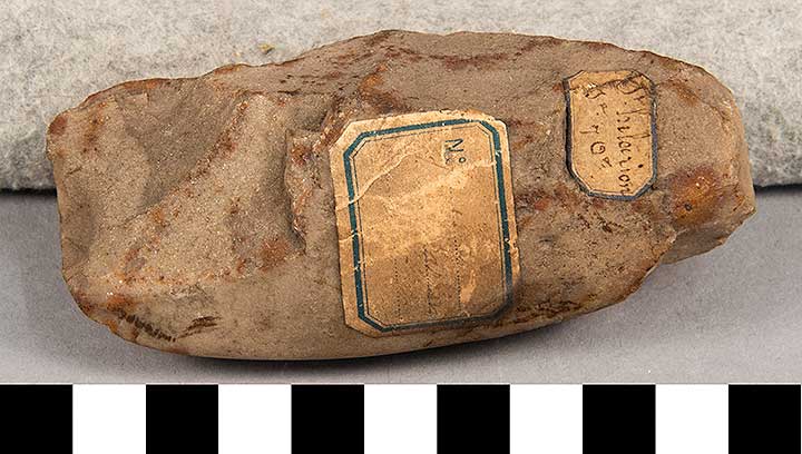 Thumbnail of Stone Tool: Axe Blank (1924.02.0841)