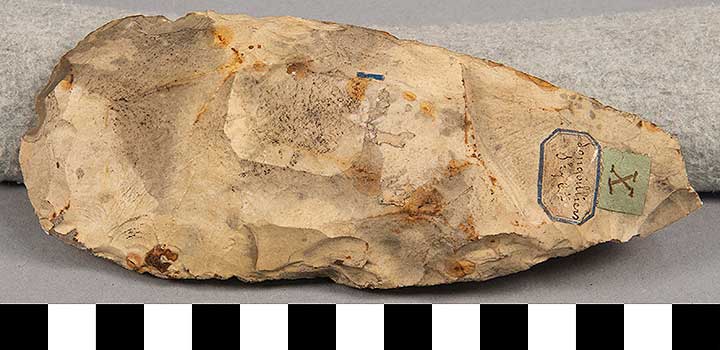 Thumbnail of Stone Tool: Axe Blank (1924.02.0858)