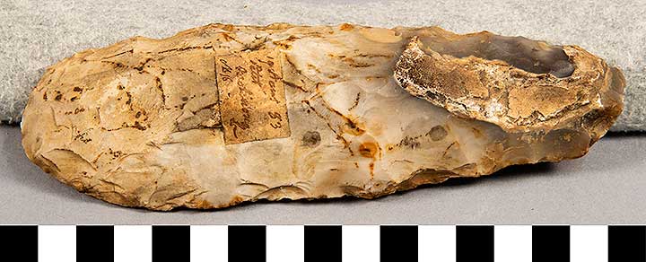 Thumbnail of Stone Tool: Axe Blank (1924.02.0861)
