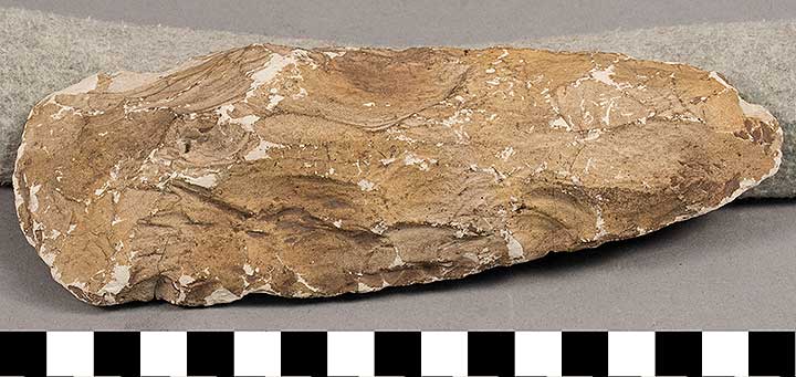 Thumbnail of Stone Tool: Axe Blank (1924.02.0871)
