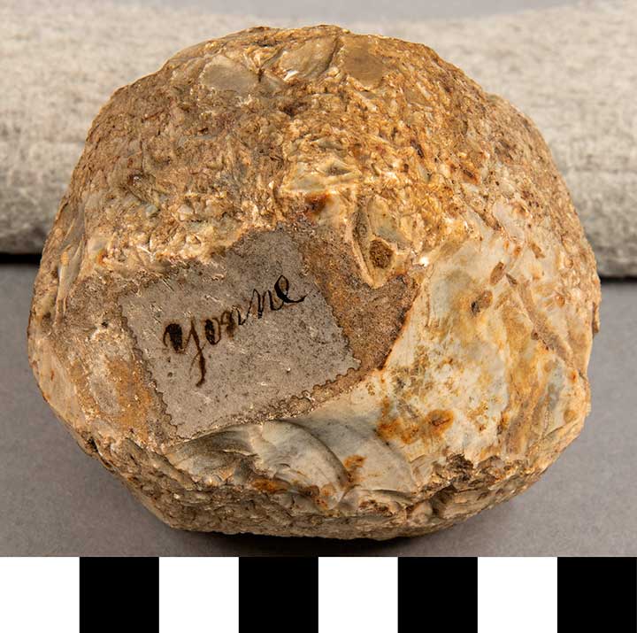 Thumbnail of Stone Tool: Hammerstone (1924.02.0891)