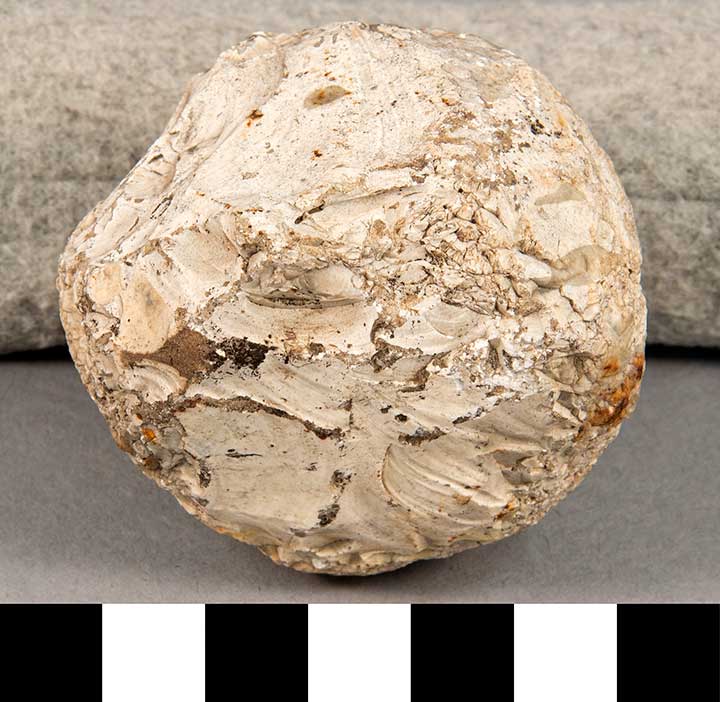 Thumbnail of Stone Tool: Hammerstone (1924.02.0893)