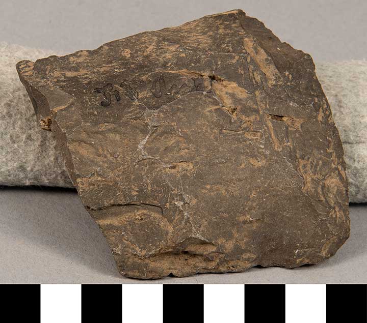 Thumbnail of Stone Tool: Biface (1924.02.0909)