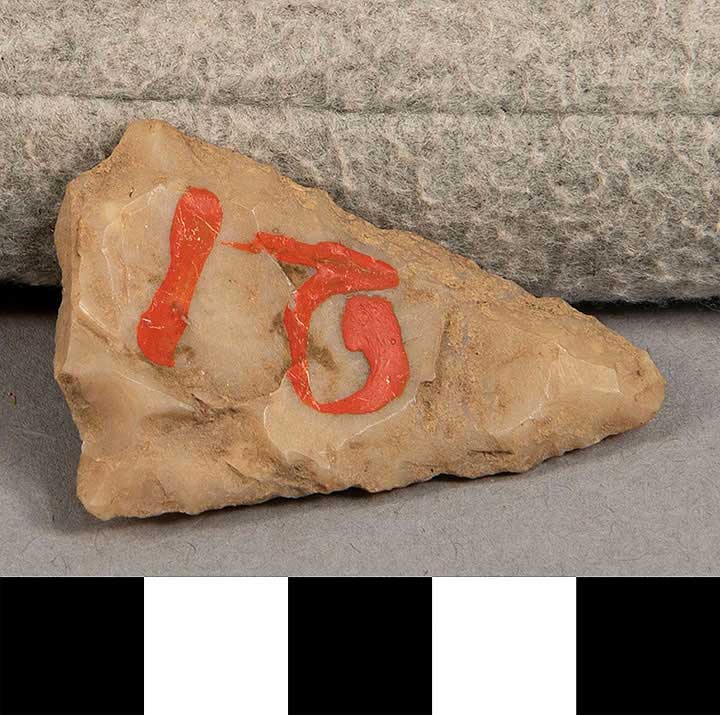 Thumbnail of Stone Tool: Point Fragment (1924.02.0915)