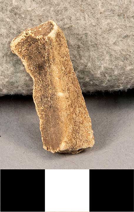 Thumbnail of Bone Fragment  (1924.02.0916AI)