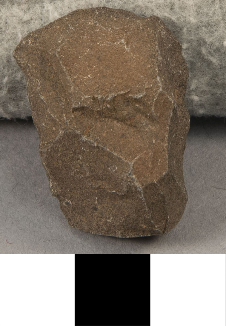 Thumbnail of Stone Tool: Fragment (1924.02.0916U)
