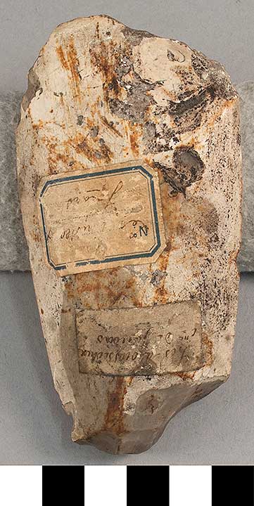 Thumbnail of Stone Tool: Groundstone (1924.02.0930)