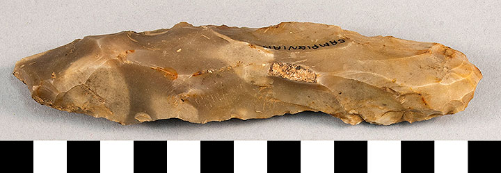 Thumbnail of Stone Tool: Biface (1924.02.0958)