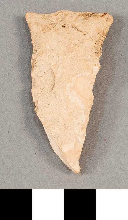 Thumbnail of Stone Tool: Point Fragment (1924.02.0975)