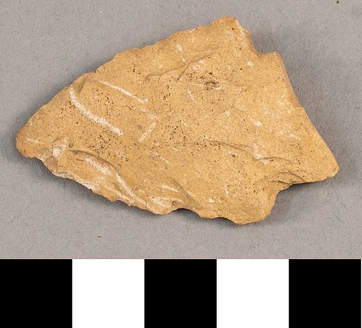 Thumbnail of Stone Tool: Point Fragment  (1924.02.0977)
