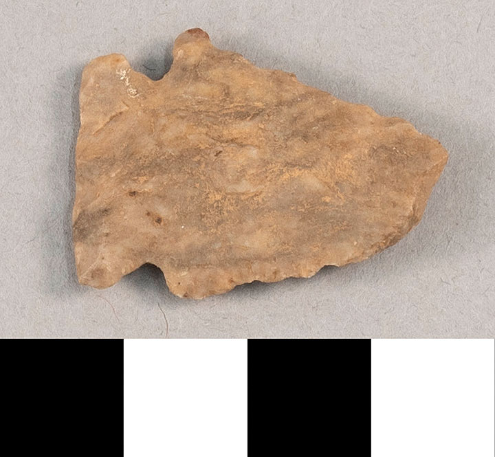 Thumbnail of Stone Tool: Point Fragment  (1924.02.0978)