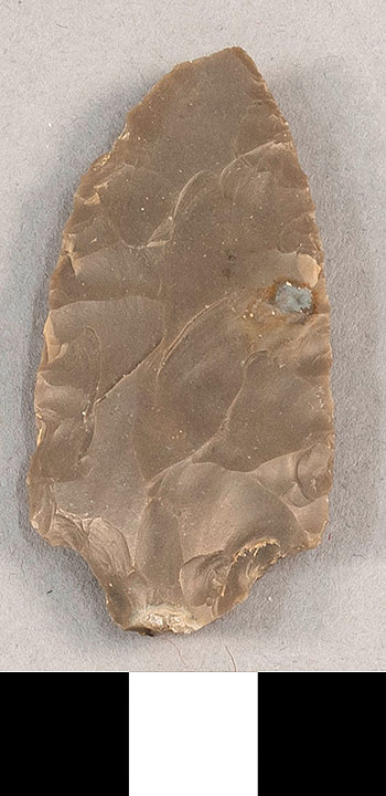 Thumbnail of Stone Tool: Point Fragment  (1924.02.0979)