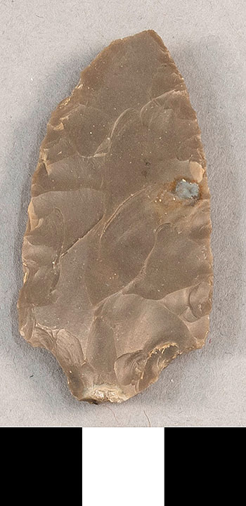 Thumbnail of Stone Tool: Point Fragment (1924.02.0979)