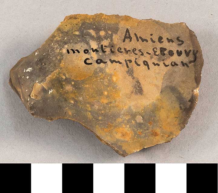 Thumbnail of Stone Tool: Flake (1924.02.0983)