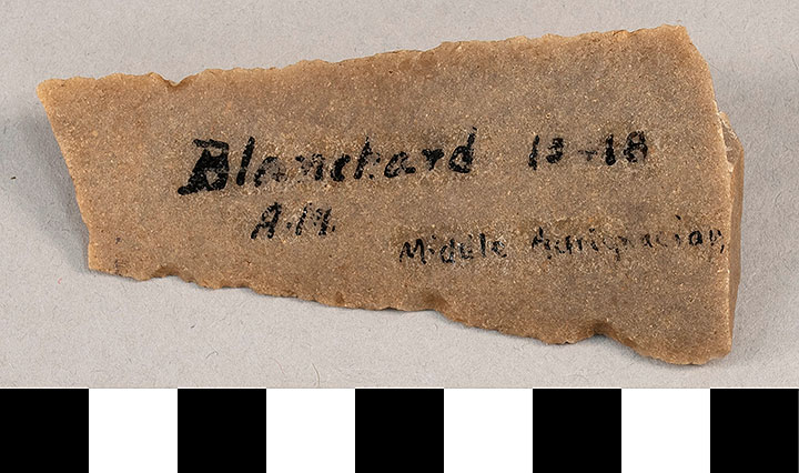 Thumbnail of Stone Tool: Middle Aurignancian Worked Flake (1924.02.0985)