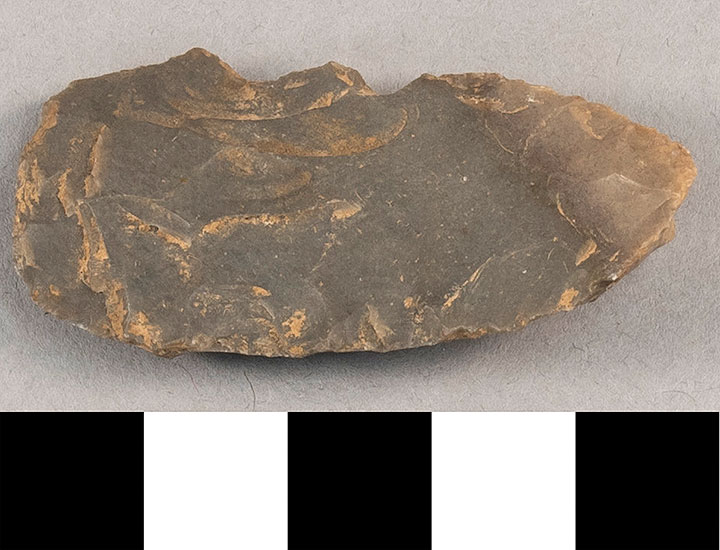 Thumbnail of Stone Tool: Worked Flake  (1924.02.0986)