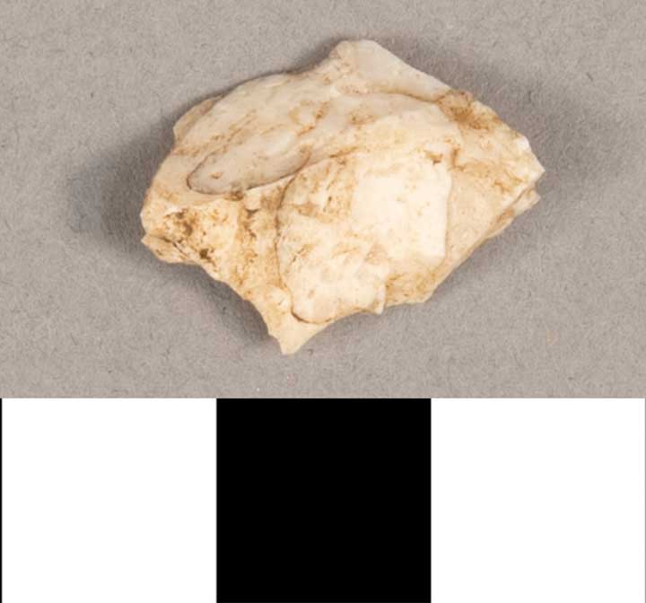 Thumbnail of Stone Tool: Chert Flake (1924.02.0999D)