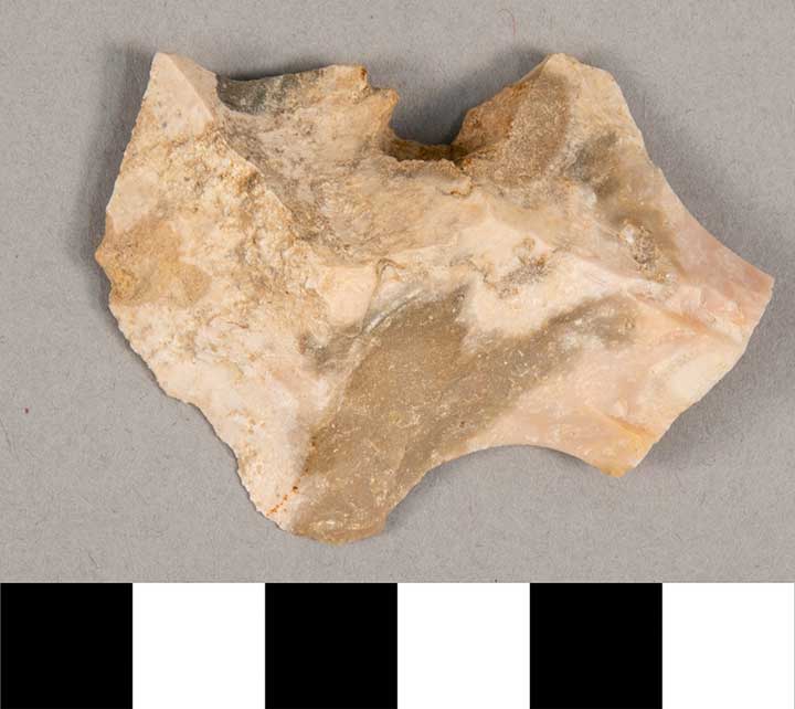 Thumbnail of Stone Tool: Chert Flake (1924.02.0999M)