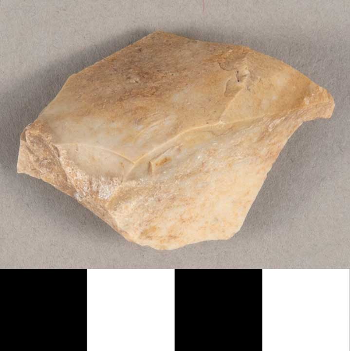 Thumbnail of Stone Tool: Chert Flake (1924.02.0999P)