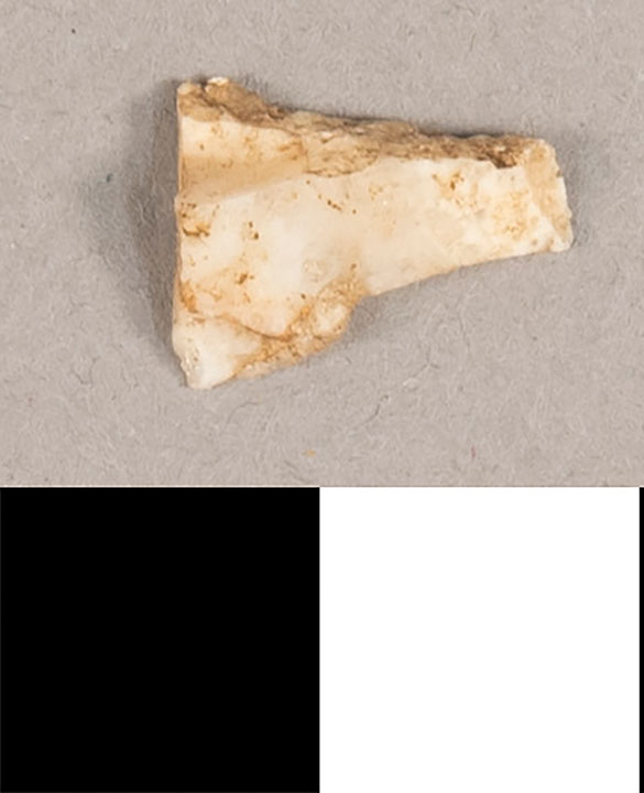 Thumbnail of Stone Tool: Chert Flake (1924.02.1000A)