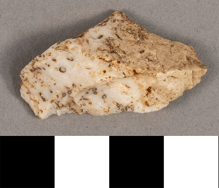 Thumbnail of Stone Tool: Chert Flake (1924.02.1000C)